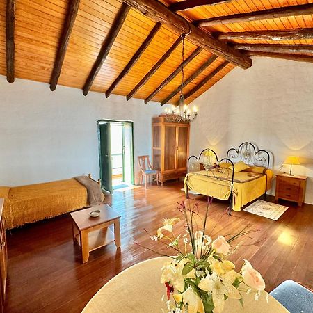 Guanche 'Casa Rural Canaria' San Miguel de Abona Exterior foto